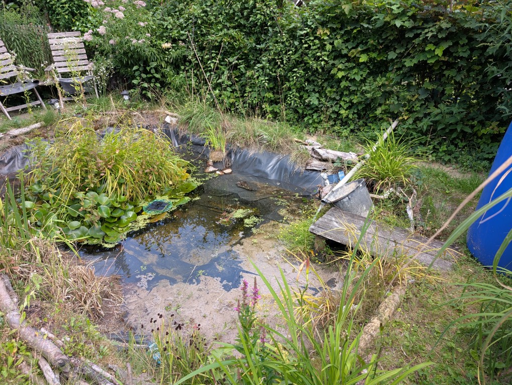 Wasser läauft in den Teich